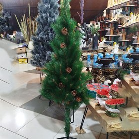 تصویر درخت کاج تزیینی 