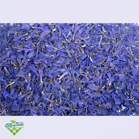 تصویر گل گاوزبان 