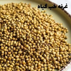 تصویر تخم گشنیز درجه یک 100 گرمی 