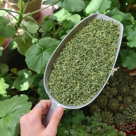 تصویر گشنیز 