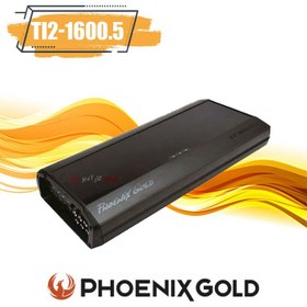 تصویر TI2-1600.5 آمپلی‌فایر فونیکس گلد Phoenix Gold 