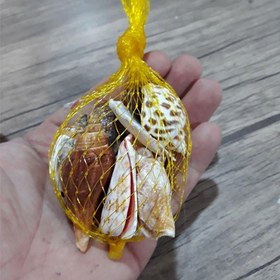 تصویر صدف میکس کد mix22 