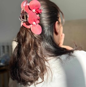 تصویر کلیپس ارکیده 