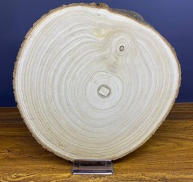 تصویر چوب اسلب طبیعی کد 328 