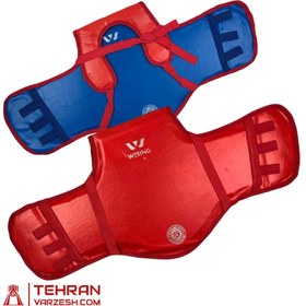 تصویر هوگو ووشو 