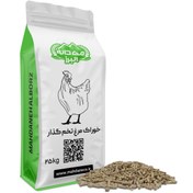 تصویر دان مرغ تخمگذار LSL مهدانه صادراتی 