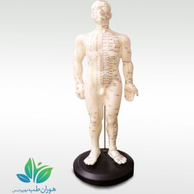 تصویر مولاژ بدن کامل مرد 