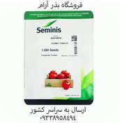 تصویر بذر گوجه سیمنس seminis SV4129TH