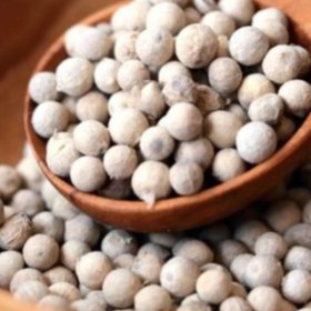 تصویر فلفل سفید دانه 