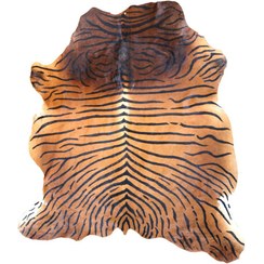 تصویر پوست مویی گاوی 