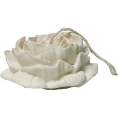 تصویر آلاله بزرگ 