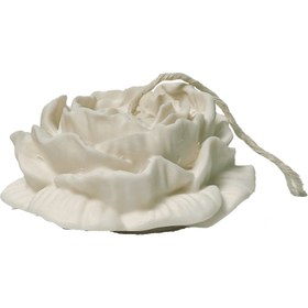 تصویر آلاله بزرگ 