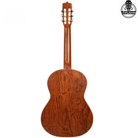 تصویر گیتار پارسی مدل D6 