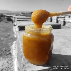 تصویر عسل گشنیز خام - ارگانیک - وزن-خالص: 500 گـــــرمی + ضمانت اصالت 