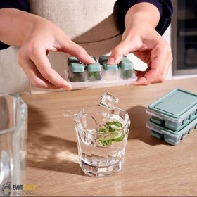 تصویر قالب یخ سیلیکونی 