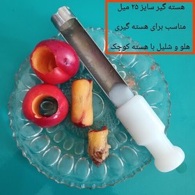 تصویر یک عدد هسته گیر آلو شلیل و هلو هسته گیر استیل هسته گیر برای آلو درشت هسته در آر 