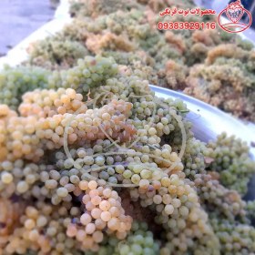 تصویر شیره انگور خانگی (دوشاب) 