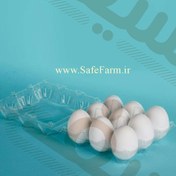 تصویر ظرف ۹ عددی (خانه) تخم مرغ ( 