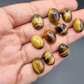 تصویر پک ۱۰ عدد چشم ببر 