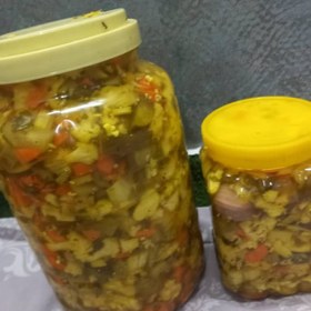 تصویر ترشی مخلوط هفت بیجار 