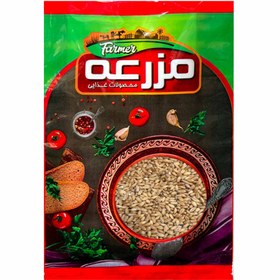 تصویر گندم مرغی 