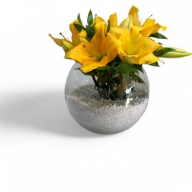 تصویر تنگ اوریانتال 