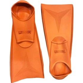 تصویر فین شنا نارنجی 