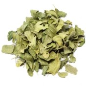 تصویر برگ سدر 