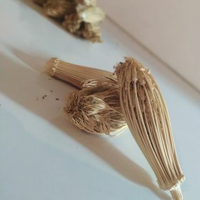 تصویر گیاه خلال دندان (7 گرم) 