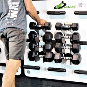 تصویر خرید رک دمبل دیواری کیاورزش kiavarzesh wall Mounted dumbbell rack