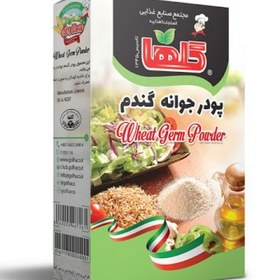 تصویر پودر جوانه گندم 200 گرم – جعبه 