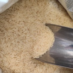 تصویر برنج خاطره هندی اصل 