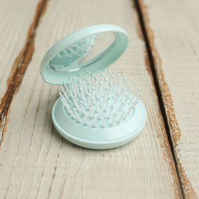 تصویر برس صدفی 