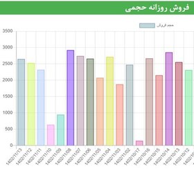 تصویر اشتراک 12 ماهه بسته خدمات حرفه ای Professional Service Package 12 Monthes