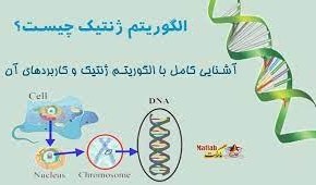 تصویر الگوریتم ژنتیک (GA) 