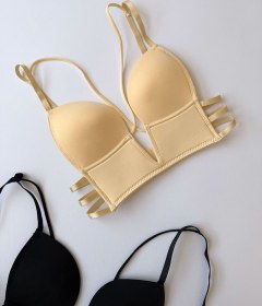 تصویر سوتین پلانچ 