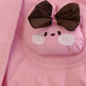 تصویر کاپشن صورتی 0078 - سایز 120 