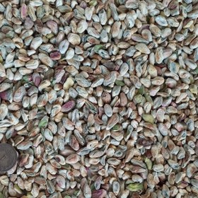 تصویر مغزپسته کال سوپر_1500گرم 