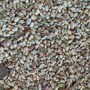 تصویر فروشگاه مکاف