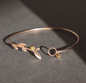 تصویر بنگل برگ زیتون سری 2 