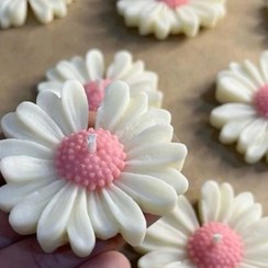 تصویر شمع بابونه 