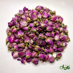 تصویر غنچه گل محمدی Flower bud