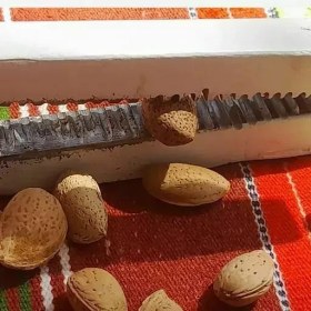 تصویر هسته شکن 