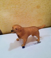 تصویر فیگور گوشتی حیوانات طرح سگ 