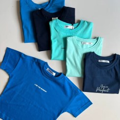 تصویر تیشرت مردانه آبی کالکشن 