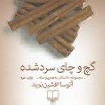 تصویر گچ و چای سرد شده/ چشمه 