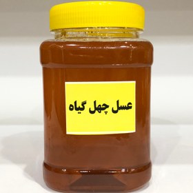 تصویر عسل چهل گیاه ارگانیک - ۵۰۰ گرم 