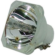 تصویر لامپ ویدئو پروژکتور Acer PD116P های کپی 