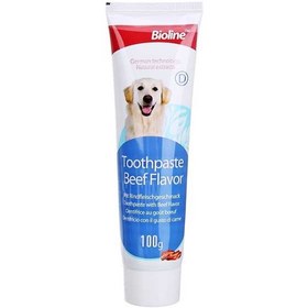 تصویر خمیر دندان سگ بایولاین با طعم گوشت 100 گرمی bioline pet toothpaste dental care with beef 100g 