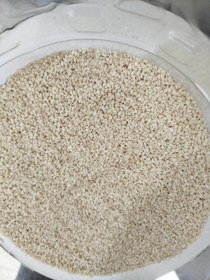تصویر کنجد سفید - ۵۰ گرم white sesame